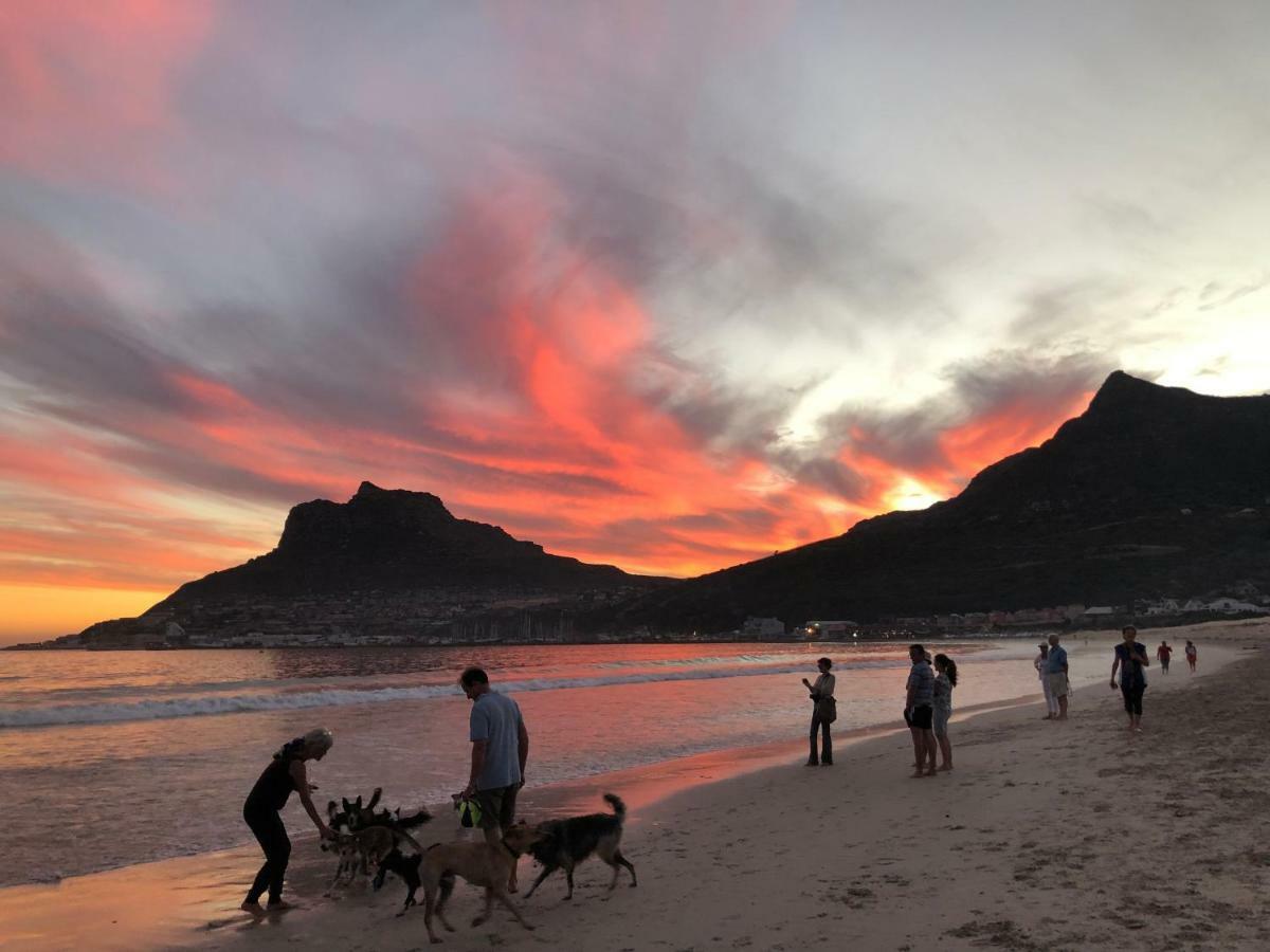 Studio On Albert, Hout Bay Exteriér fotografie